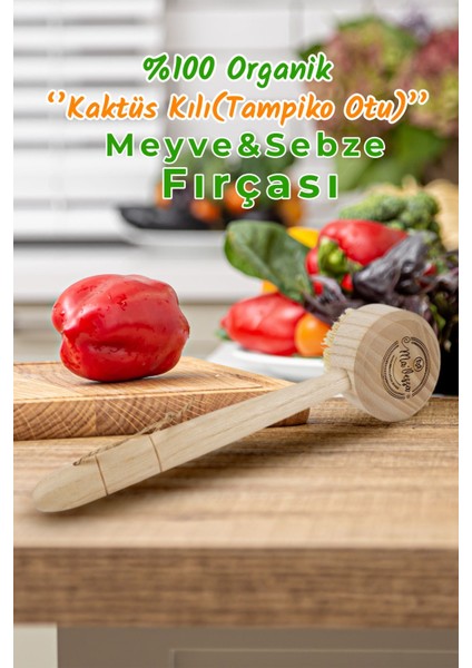 Doğal Ahşap Vegan Sebze, Meyve ve Bulaşık Fırçası, Sağlıklı ve Şık Tasarım modelleri