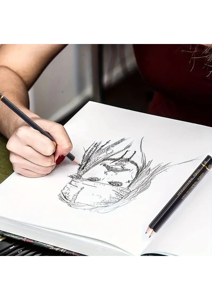 Kara Kalem Çizim Seti, Eskiz Kalem Seti, Dereceli Kalem Set, Kömür Kalem, Kalemlikli-25 Parça modelleri