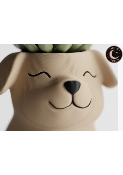 Dekoratif Sevimli Köpek Figürlü Saksı Seti – 2'li 3D Baskı Bitki Saksısı – Küçük ve Orta Boy fiyatları