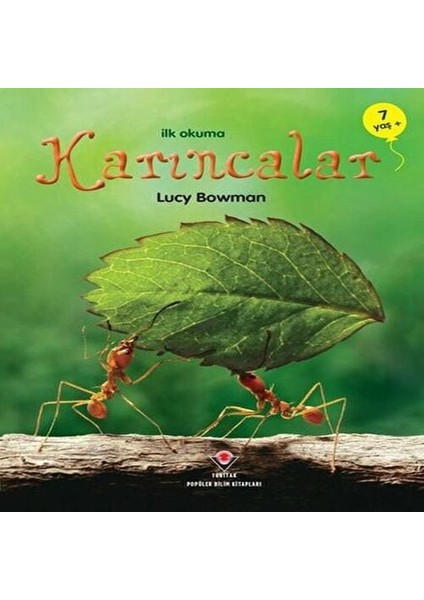 Ilk Okuma - Karıncalar