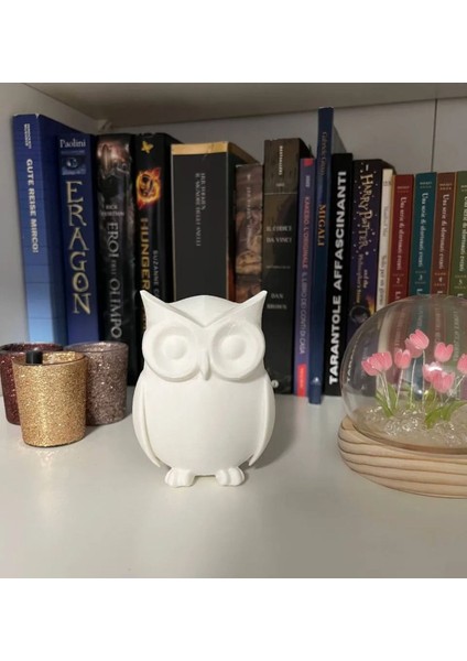 Dekoratif Baykuş Biblo