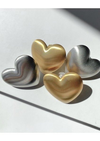 Mat Silver Kalp Küpe fiyatları