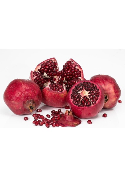 4 Yaş Tüplü,meyve Veren Içi Dışı Hicaz Nar Fidanı Boy 170-200 cm