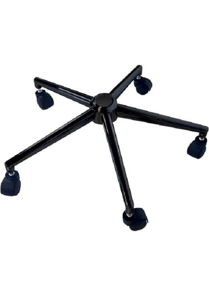 Konik Yıldız Ayak siyah fiyatları