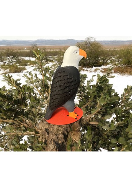 3D Kartal Figürü modelleri