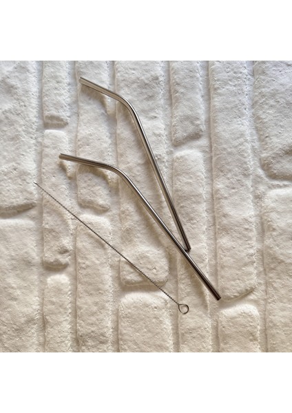 2'li Gümüş Paslanmaz Çelik Pipet+ Temizleme Fırçası