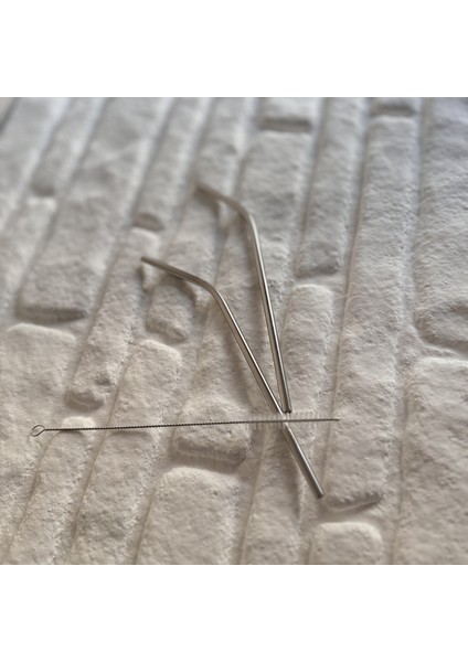 2'li Gümüş Paslanmaz Çelik Pipet+ Temizleme Fırçası fiyatları