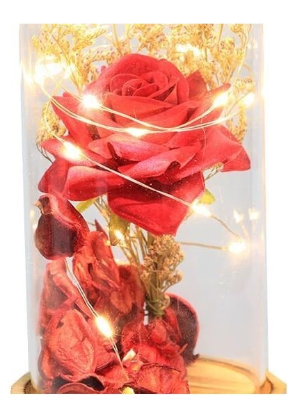 Fanus Gül 19/10CM LED Işıklı Cam Fanuslu Hediyelik fiyatları