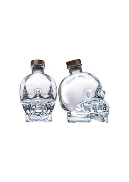 Su Kola Meyve Suyu Kuru Kafa Şişe 550 ml modelleri