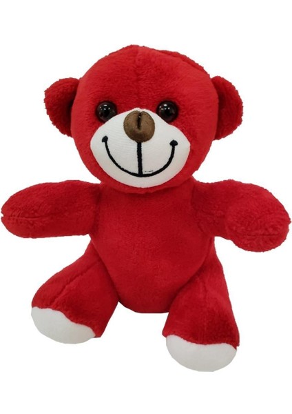 Peluş Oyuncak Ayı