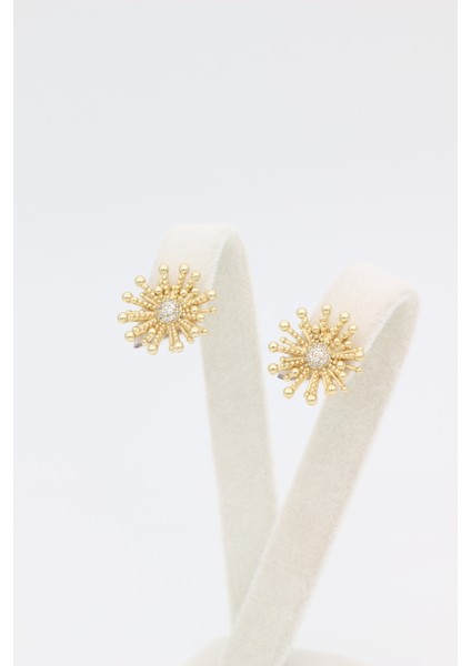 Stil Incisi/xupıng Jewelry Güneş Model Zirkon Taşlı Küpe fiyatları