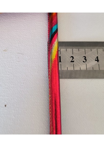 Rengarenk Kordon Biye Şerit modelleri