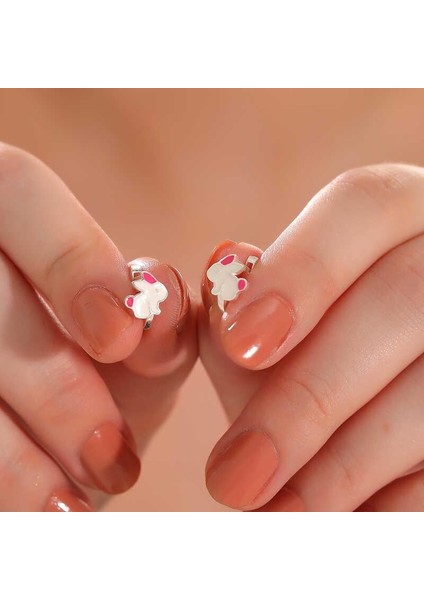 Gümüş Tavşan Çocuk Küpesi fiyatları