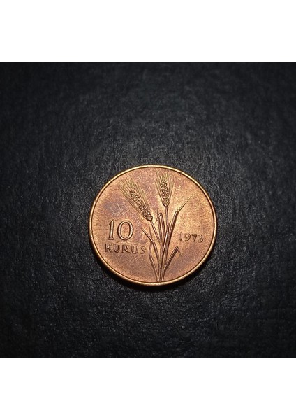 Escoines 39963688B5DA69DD81 1973 10 Kuruş Çil Para Bronz fiyatları