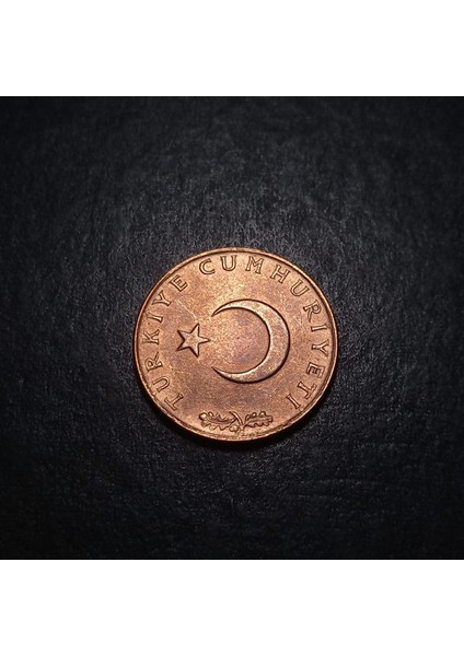 Escoines 39963688B5DA69DD81 1973 10 Kuruş Çil Para Bronz modelleri