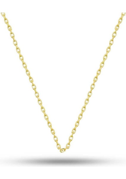 Gümüş Gold 0.30 Mikron 50 cm Forse Kadın Zincir