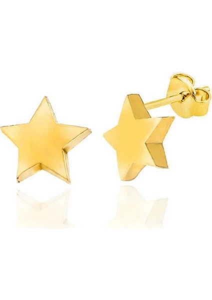 Gümüş Gold Yıldız Çivili Kadın Küpe fiyatları