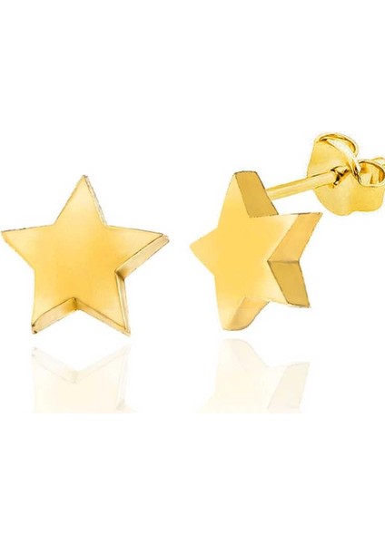 Gümüş Gold Yıldız Çivili Kadın Küpe fırsatları