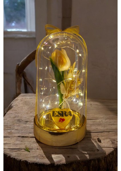 Sevgililer ve Anneler Günü , Arkadaşa Özel Hediye Altın Renkli Fanus Yapay Islak Lale Isim Yazmalı fırsatları