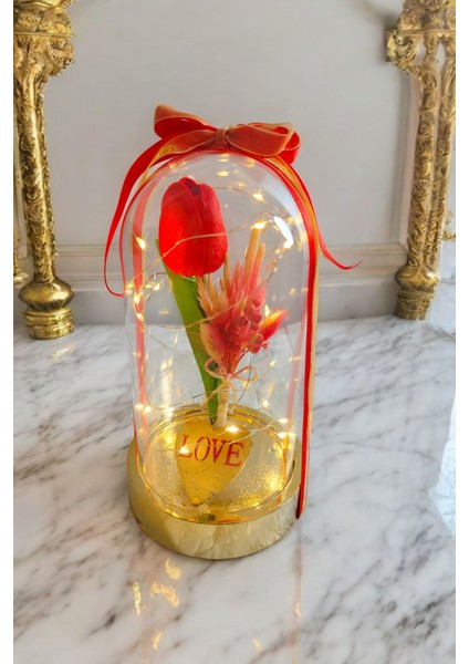 Sevgililer ve Anneler Günü , Arkadaşa Özel Hediye Altın Renkli Fanus Yapay Islak Lale Isim Yazma fırsatları