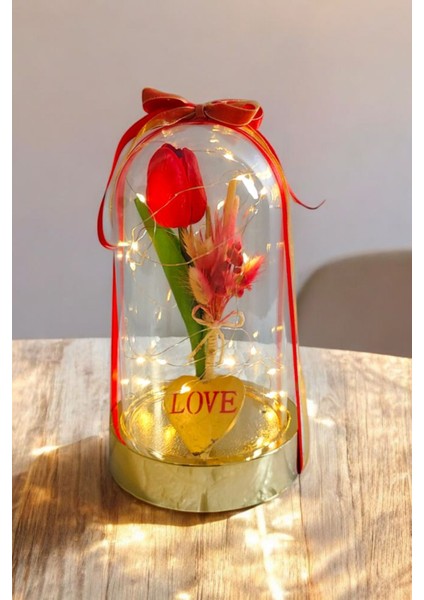 Sevgililer ve Anneler Günü , Arkadaşa Özel Hediye Altın Renkli Fanus Yapay Islak Lale Isim Yazma indirimleri