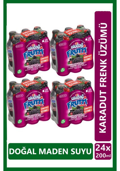 Frutti Karadut Frenk Üzümü Aromalı Maden Suyu 200 ml x 24 Adet