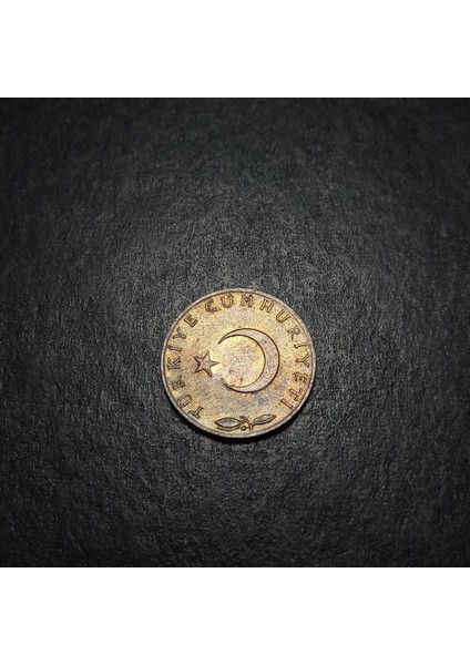 Escoines 399636889871EEE4D5 1968 Bakır 5 Kuruş Çil Para indirimleri