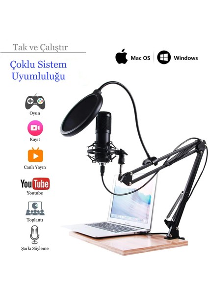 Profesyonel USB Kondansatör Mikrofon Seti Ayarlanabilir Kol Stand Podcast Youtube Karaoke Stüdyo