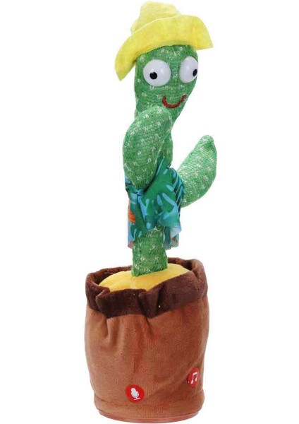 Dans Eden Kaktüs - Sarı Şapkalı - Çiçekli Gömlekli fiyatları