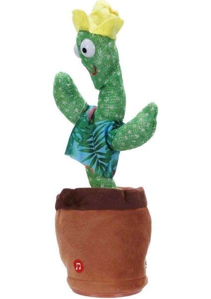 Dans Eden Kaktüs - Sarı Şapkalı - Çiçekli Gömlekli modelleri