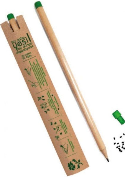 Balıkçı ve Oğlu Konstantiniyye Oteli Zülfü Livaneli 2 Kitap fırsatları