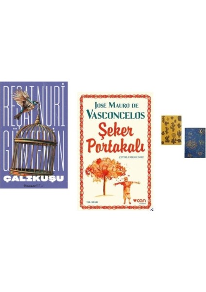 Çalıkuşu - Şeker Portakalı ( 2 Defter Hediye)