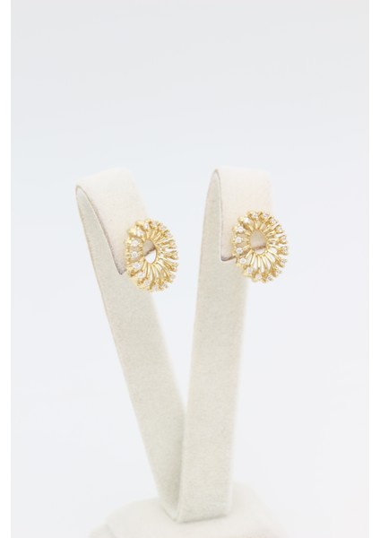 Stil Incisi/xupıng Jewelry Diamond Oval Zirkon Taşlı Küpe modelleri