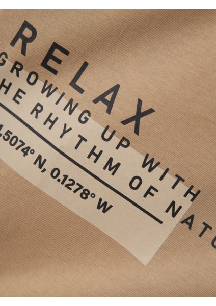 Erkek Çocuk Bisiklet Yaka T-Shirt 13234022 modelleri