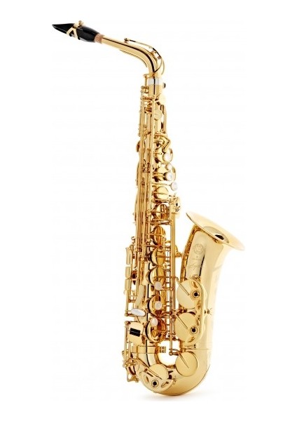 Saksofon Selmer-Paris Signature Lacquered, Outfit Alto