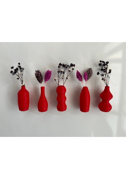 Miniflora - 5'li Magnetli Mini Vazo - Kırmızı