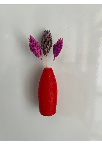 Miniflora - 5'li Magnetli Mini Vazo - Kırmızı fiyatları