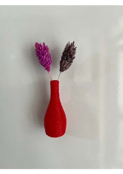 Miniflora - 5'li Magnetli Mini Vazo - Kırmızı fırsatları