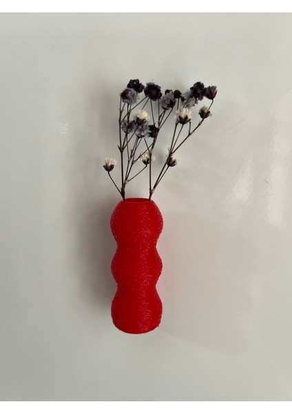 Miniflora - 5'li Magnetli Mini Vazo - Kırmızı