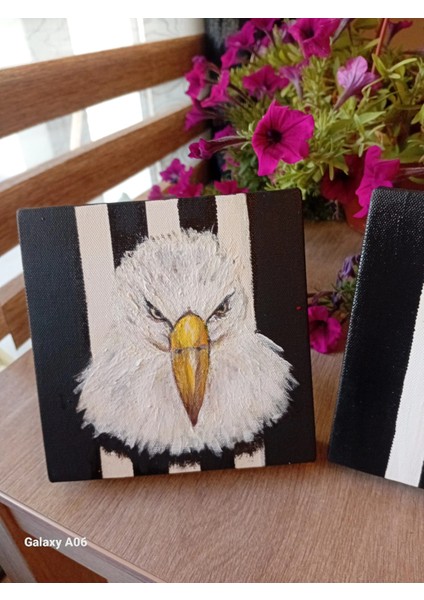 Kartal ve Beşiktaş Renkleri Desenli 2'li Kanvas Tablo Seti