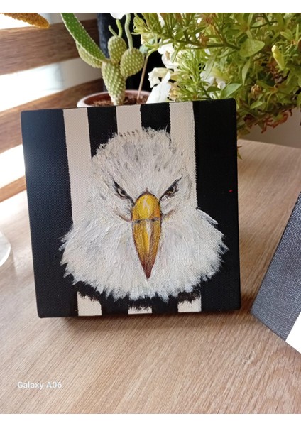 Kartal ve Beşiktaş Renkleri Desenli 2'li Kanvas Tablo Seti