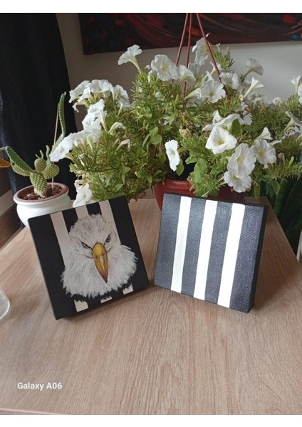 Kartal ve Beşiktaş Renkleri Desenli 2'li Kanvas Tablo Seti