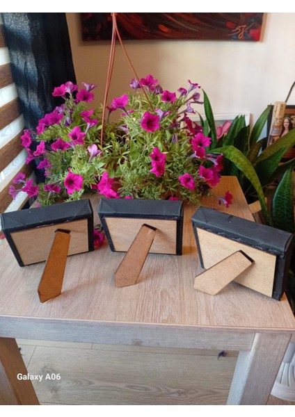 Kartal ve Beşiktaş Renkleri Desenli 2'li Kanvas Tablo Seti