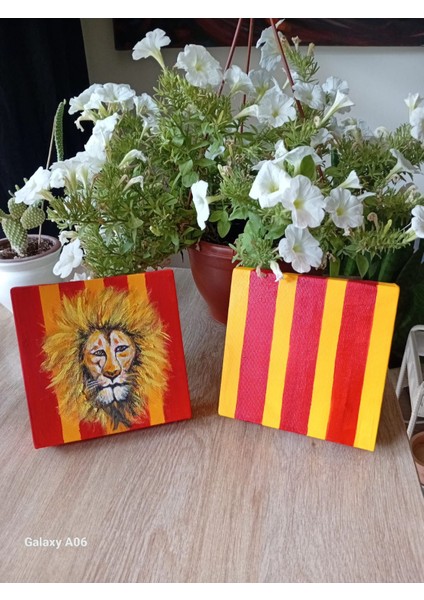 Galatasaray Aslan ve Çizgili Kanvas Tablo Seti 2'li fırsatları