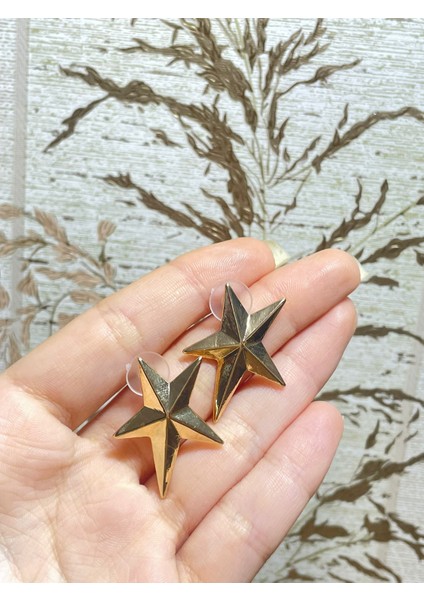 Yıldız Küpe Paslanmaz Kararmaz fiyatları