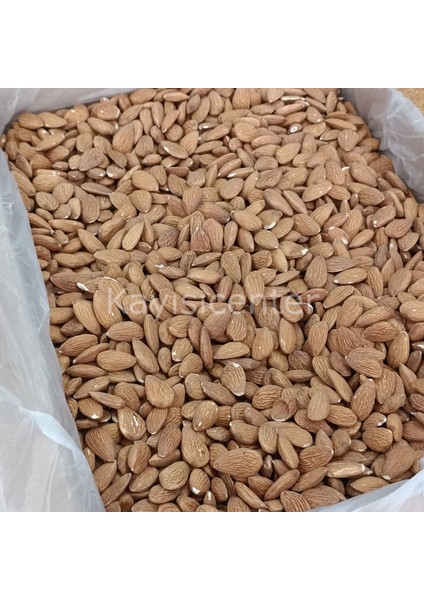 Toptan Ithal Çiğ Badem 8 kg fiyatları