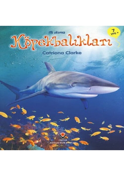 Ilk Okuma - Köpekbalıkları