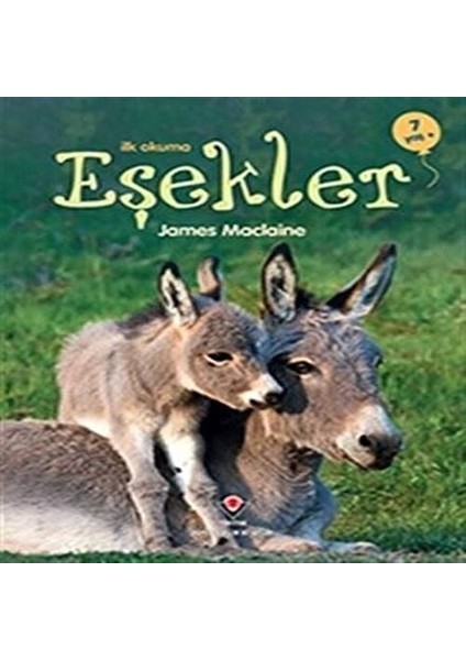 Ilk Okuma - Eşekler