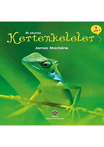 Ilk Okuma - Kertenkeleler