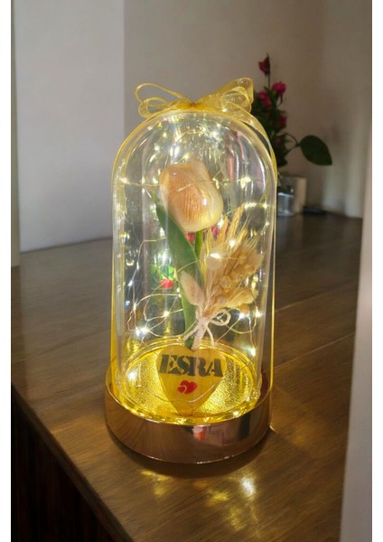 Sevgililer ve Anneler Günü , Arkadaşa Özel Hediye Altın Renkli Fanus Yapay Islak Lale Isim Yazmalı indirimleri